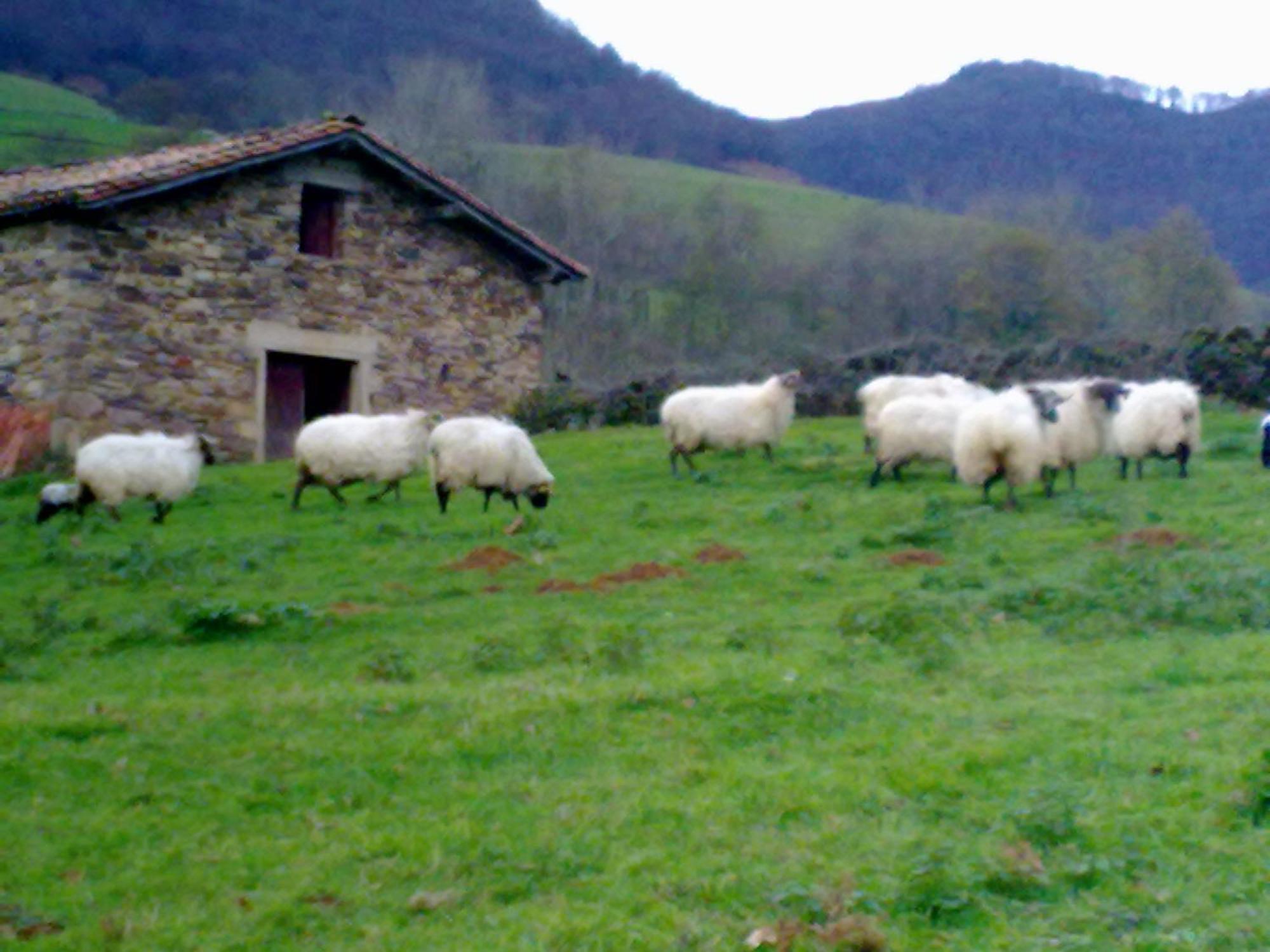 Hostal El Volante Estella Luaran gambar